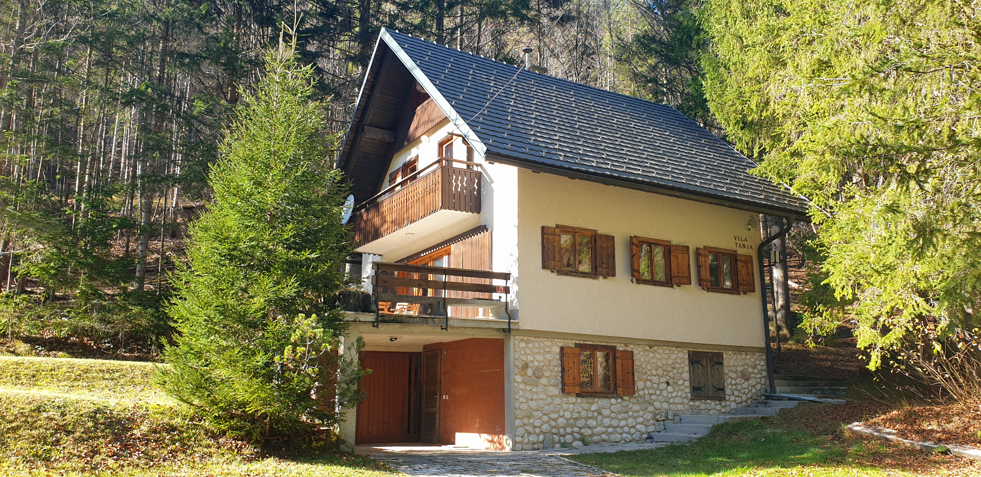 Vila Tanja alpski apartma s pogledom na Julijske Alpe v Kranjski Gori