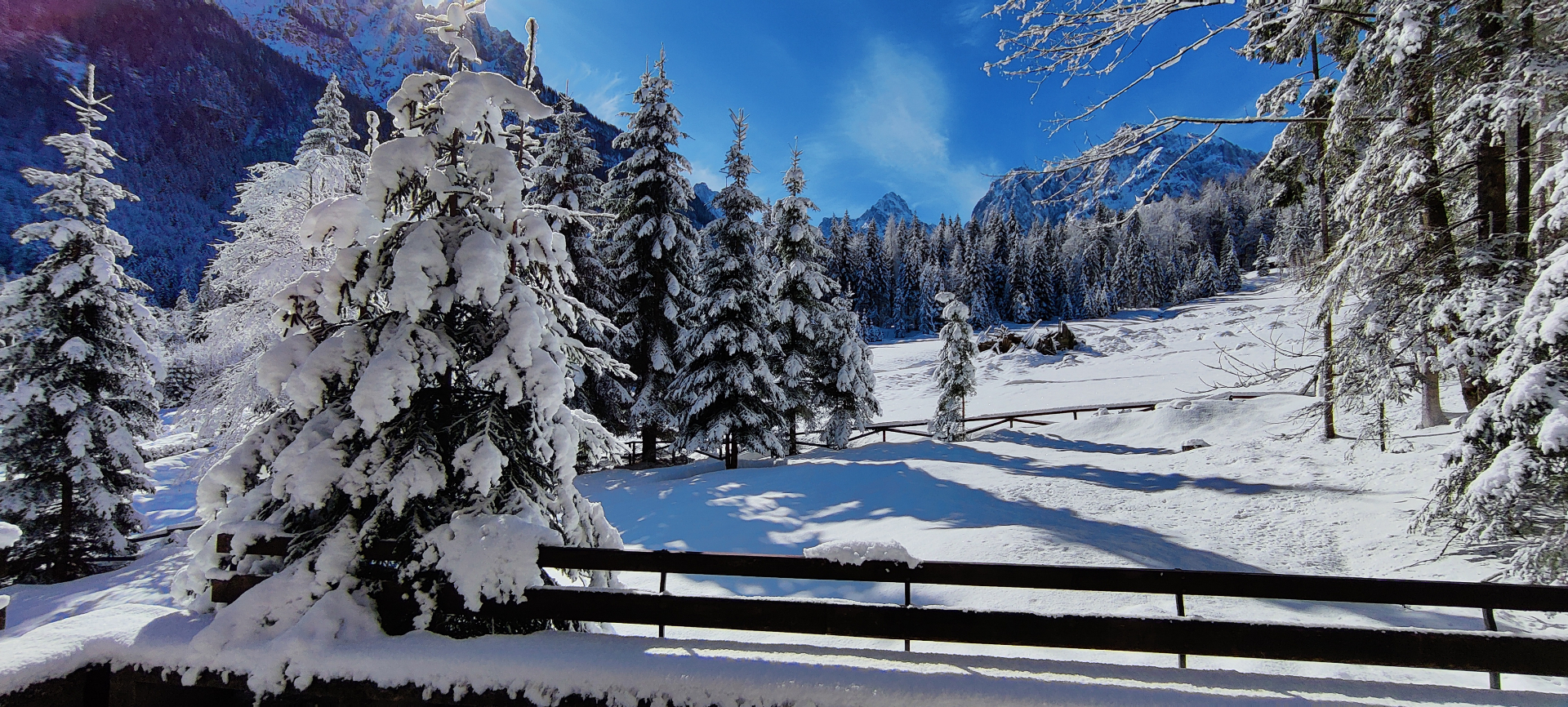 Smučišče Kranjska Gora — zima v Julijskih Alpah